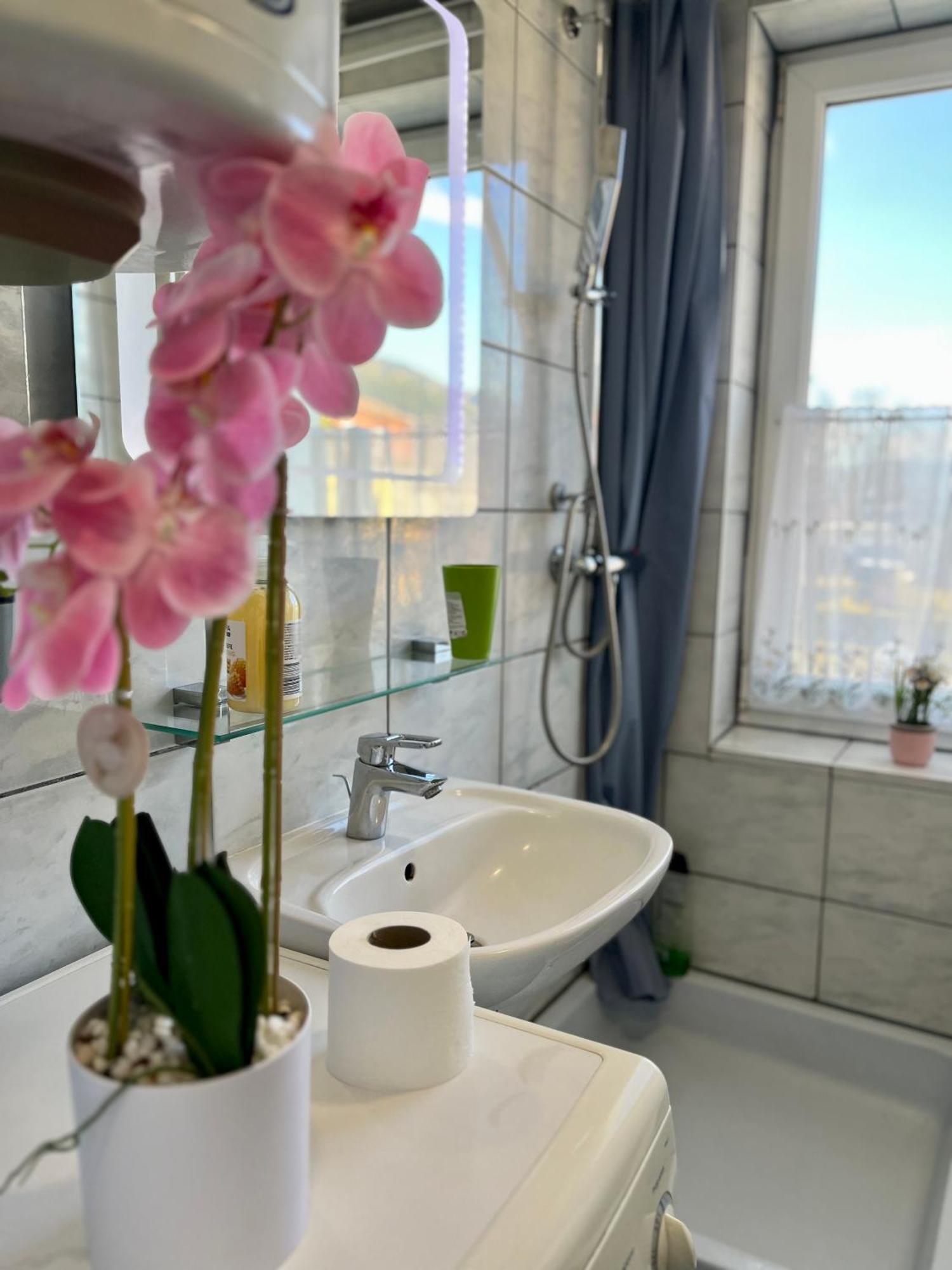 Gemuetliche Wohnung/ Cozy Apartment Niklasdorf Ngoại thất bức ảnh